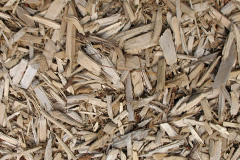biomass boilers Wareside